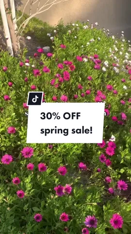 Did someone say a 30% OFF Spring cleaning sale? 🤭💖🌼🌷 From 3/10-3/12, we will be having 30% off select notepads, keychains, tote bags, glass cups, & more! We don’t do many sales so definitely check out my site if you have been eyeing any of my products!! 🥰💖🫶 #peachcreamprints #SmallBusiness #shopsmall #springsale #springcleaning #stationery #stickers #keychains #phonecharm #tote #cutestationery #voiceover #shoplocal #smallbusinessgrowth 