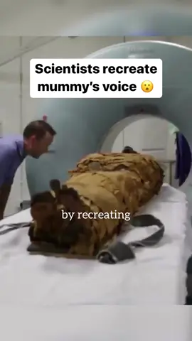 ☝🏾😩 KNEW IT. They re-created the mummy’s voice. Spot on. Scientists have fulfilled a mummified ancient Egyptian’s wish to speak again after death by replicating his voice with artificial vocal cords 🤯 Nesyamun was a priest who lived during the reign of Pharaoh Ramses XI, between 1099 and 1069BC. As a priest in Thebes, Nesyamun would have needed a strong voice for his ritual duties, which involved singing. When Nesyamun died, his voice fell silent, but 3,000 years on, a team of researchers have brought it back to life using a 3-D printed vocal tract. #mummy #mummies #egypt #pharoah #ancientegypt #egyptianmummy #scienceexperiments #DidYouKnow #ancienthistory 