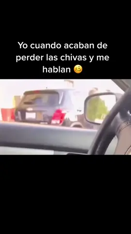 Pero yo te amo siempre chivas #chivas #ligamx #porla13❤️🤍 #fyp #chivahermanos #chivasdelguadalajara 