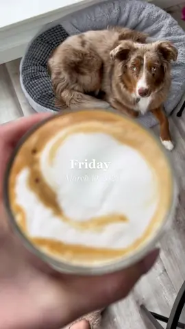 Chill Friday evening after working from hom #dayinmylife #diml #dayinmylifevlog #seattle #wfh #wfhlife #saltandstraw #friday 