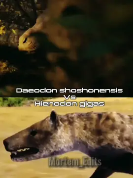 Fax ou Fax #fy #fypシ #capcut #debate #debate1v1 #edit #paleontologia #paleontology #biology #biologia #daedon #hyenodon 