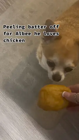 #chihuahua #dogs #dogsoftiktok #chihuahuastiktok #smalldog #smalldogsoftiktokdogsoftiktok #smalldogsoftiktok 