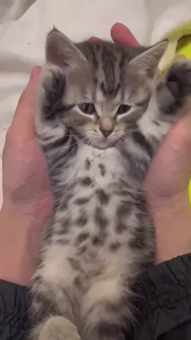 🥰