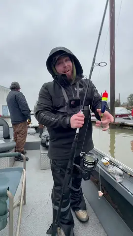 WORLDS FIRST sturgeon on a bobber (BOBBER DOWN)  #fyp #fishing #sturgeon #sturgeonfishing #viral #trend #fypシ #foryou #foryoupage #pnw #Lifestyle #catchandrelease #541fisherman #Outdoors #reels #educate #reels #adventure 