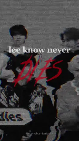 [skz lore series] lee know never dies. #skz #straykids #straykidsedit #straykidslore #skzlore #leeknow #leeknowedit #leeknowstraykids #skzedit #skzstay #skzleeknow #straykidseverywhereallaroundtheworld #skzmaxident idk how i feel about this edit i mean im kind of really proud of it but i always wish i could do so much more?? anyway, i still need to develop a theory, but if lino is part of villainracha i assume it is his “evil” parallel self that takes over his body when he “dies” hence he never dies, maybe they simply switch bodies? even the idea of an evil lino is only a theory for now but it’s interesting how every time the other kids are asleep he is the only one awake…