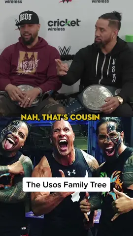 The Usos go through their wrestling family tree #WWE #usos #romanreigns #therock 