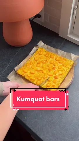 Kumquat bars for a sweet, tangy, a little bit of salty treat 🫶 #garden #gardentok #kumquats #dessert 