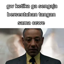 perbedaan #meme #breakingbad #fyp #anime #explore 