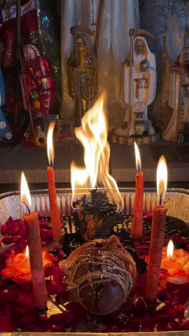 Animal heart obsession spellwork for client | To book a spell with me you can message me on tiktok or message my ig link in tiktok bio! #bruja #foryoupage #witch #brujeria #witchtok #witchcraftthings #spellwork #fyp #witchesoftiktok #ritual #hireawitch #witchforhire #hechiceria #lovespell #lovespellsthatwork #obsessionspell #obsessionspellandlovespell #candlemagick #lovemagick #foryou #thinkofmespell #lovemespell 