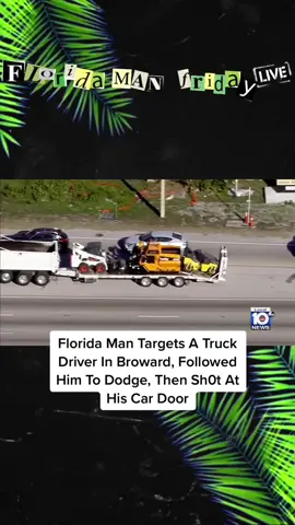 #florida #floridaman #floridacheck 