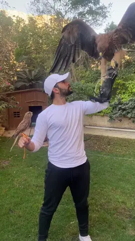 بدعوا كل الناس انهم يشاركوا معايا فى اطلاق الجوارح للطبيعة .. فى انواع كتير جدا حرام تتربى لان فايدتها فى الطبيعة احسن كتير من وجودها مع الانسان، انا عندى استعداد انزل معاكم سوق الجمعة و نجيب جوارح و نطلقها كلنا مع بعض ، اللى حابب يشارك معايا فى اليوم ده يكتب كومنت عليه هاشتاج #اطلاق_الجوارح، و هنحدد يوم جمعة قبل رمضان ننزل مع بعض فيه و صدقونى هتتبسطوا جدا، الصقارة شرف و رحمة قبل متكون هواية .  #رهبة #فيلم #الجارح #رامز_امير 