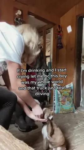 #petloss #heartdog 😭💔 