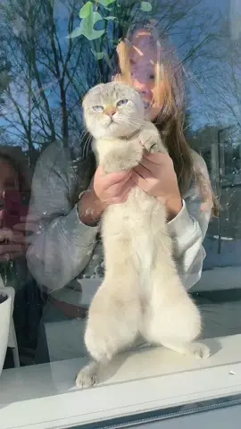 Watch until the end 🐈 #twins #foryou #trend 