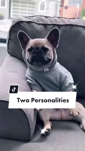 Maybe its better this way 🎶 #dogs #frenchbulldog #dogparent #selflove #carelesswhisper #personalitychange @somefrenchienamedapollo @somefrenchienamedapollo  