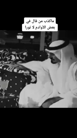 #شعر #بوح #قصيد #قصايد #اكسبلور #حايل #حايلندا #fyp #foryou #foryoupage #fypシ #trending 