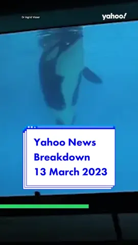 Here’s your #newsbreakdown for Monday 13 March 2023. Lifeline: 13 11 14 and BeyondBlue: 1300 22 4636 #yahoonews #yahooaustralia #australia #mcdonalds #mcdonaldsindia #northqueensland #queensland #kirwan #kiska #orca #orcawhale #marineland #queenslandfloods #bureauofmeteorology 