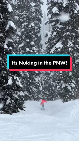Let it SNOW!! #snowstorm #crystalmountain #pnw #snowboard #skitok