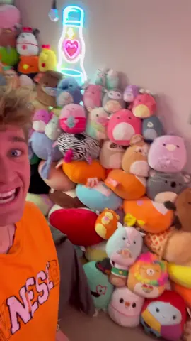 Should the fact that my collection takes up 30% of my room concern me? #fyp #collection #squishmallows 