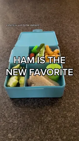 Replying to @caseyking181921 what’s your kid’s favorite sandwich? #makelunchwithme #makelunchformykids #kidslunch #bentoboxideas #schoollunches #lifewithkids #pickyeater #momlife 