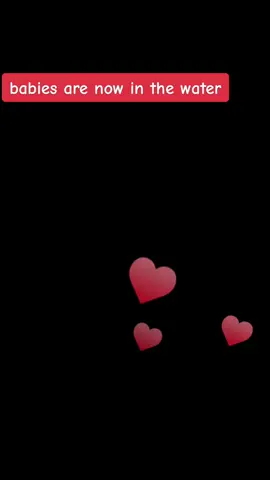 #fypシ #fyfyfyfyfyfyfyfyfy #wpt #fyp #babiesontiktok @Bacoo_Familiy @Taha Tarhan 