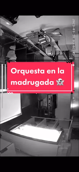 Asi de las madrugadas 💀 de @Tulipan Negro, ni dejan dormir  #horror #miedo #scary #paranormal 