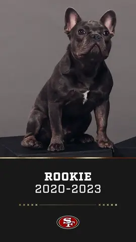 Thank you for all the joy and memories you brought everyone ❤️ We will miss you Rookie 🌈 🐾
