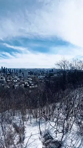 View from the top of Mont Royal Montréal Canada. Video taken with my @gopro Hero 11, edited with Quick app #canada #montreal #canadalife🇨🇦 #view #tourism #winter #cold #viral #foryou #follow 