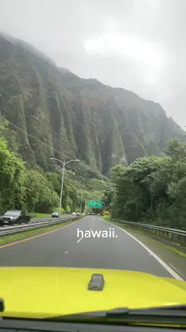 🌺🤙🏼 #hawaii #northshore #kualoaranch #oahu #fyp 