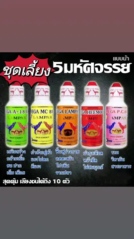 ชุดนี้เด็ด ใช้ดี ใช้ง่าย  ชุดเลี้ยง 