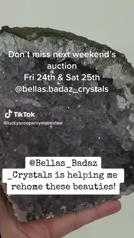 @bellas.badaz_crystals @luckyscoopscrystalreview @avocado._.daddy @alicat1972 @annamariejayy @ownthemat @bringmeallthewings @bkqueen69 @beegilmore20 @blackdahlia09 @bmwgirlbakerlife @ccthecrystalqueen @compoet @cockatielqueen @creativeclutter181 @cutegaychic @claritytf @craftyveteranstudios @disturbia481 @wthc_radio_1 @fizz_bombin @glam_trixzy1 @ginagirl915 @dominatedbycatcall @im_only_a_mom @itsnatallieee @ignas_draconis @draconisbullys_bup @jabberjawjen74 @jasmine.minie @joechop1020 @jen.5hourenergy @palomino2977 @karmic_manifestations @kittensdaddy91 @4dogsnthensome @katnip475 @tranzplanter @kaydee_412 @karma_and_crystals @littlevillians @lavilainepetitecanarde2 @lovenugbuds @yourhippiesister @mariluzsegarra @moorecrystals @matthewkirchner3 @misunderstoodweirdo @alignguy87 @neverenough596 @officiallittlejamie @pierced_sugarfans @sza.is.my.wife @seesees_creations @shaeclark73 @tmp_069 @tori_8819 @toysplayatnight @tishyturtle @twisted.spirit.walker @jefflkip6969 @youhavemehooked @zornicorn48 #CapCut 