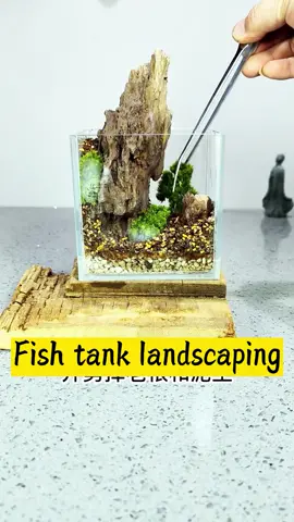 Have you been made aquascape in such a small fish tank？#aquascape #landscape #aquarium #minifishtank #rocklandscape #glasstank #decoration #fish #DIY #diycraft #fyp