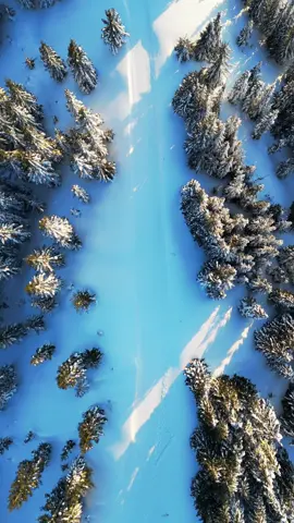 Snow packed roads look so clean from the air 🥰 #dronevideo #drone #hikes 