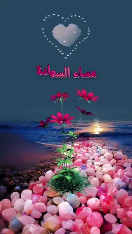 #مساء_السعادة #مساء_السعادة_لقلوبكم #مساء #مساء_الخير #مساء_الحب_والسعاده #مساءالخير #مساء_الخير_للجميع___ #مساء_الورد #مساء_الخير_يا_وجوه_الخير #مساء_الروقان #مسائيات #مسائيات_جميلة #مسائيات_روقان #مسائيات_راقية #يسعدلي__اوقاتڪۘم #يسعد_مساكم #يسعدلي_مساءكم #f #fyp #foryou #foryoupage #fypシ #fy #funny #foryourpage #fypage #fypシ゚viral 
