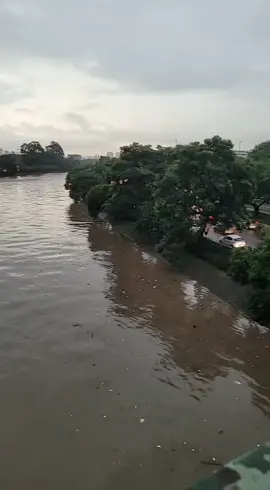Mais um dia normal em São Paulo #chuva #humor  #enchente #riotiete #tiete 