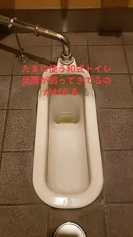 和式トイレを使おう⋆⸜🧻⸝‍⋆