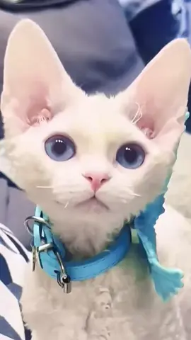 🥰