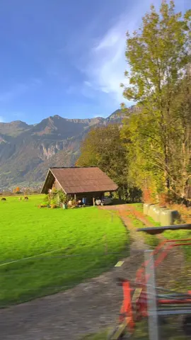 Could watch for hours #Switzerland #MountainView #BeautifulPlace #naturetrip #ThisView #NaturesBeauty #BeautifulNature 