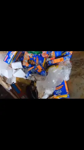 Dumpster full of food! #dumpsterdiving #foryou #fyp #donate #free #viral #omg 