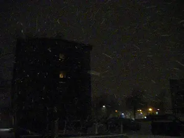 my endless winter