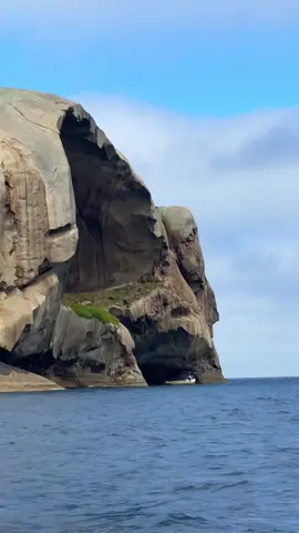 Skull Rock formally known as Cleft Island is a small, but remarkable granite island that sits among the Anser group of islands off the southwest coast of Wilsons Promontory, Victoria, Australia. Very few people have been inside this island cave, adventurers have had to land on the top of the rock by helicopter, then they shimmied down ropes to gain entrance to the cave. Would you dare enter? 📸 @albertos.travels #ausgeo #skullrock #wilsonsprom #victoria #discoveraustralia #discoverearth