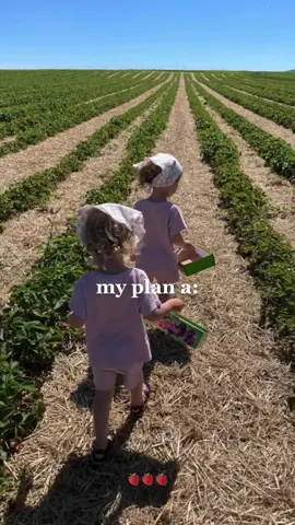 hopefully in the next few years we can find the house & land we’re looking for to start growing our own food 🥹 #myplana #motherhood #plana #homemaking #farmhouse #youngmom 