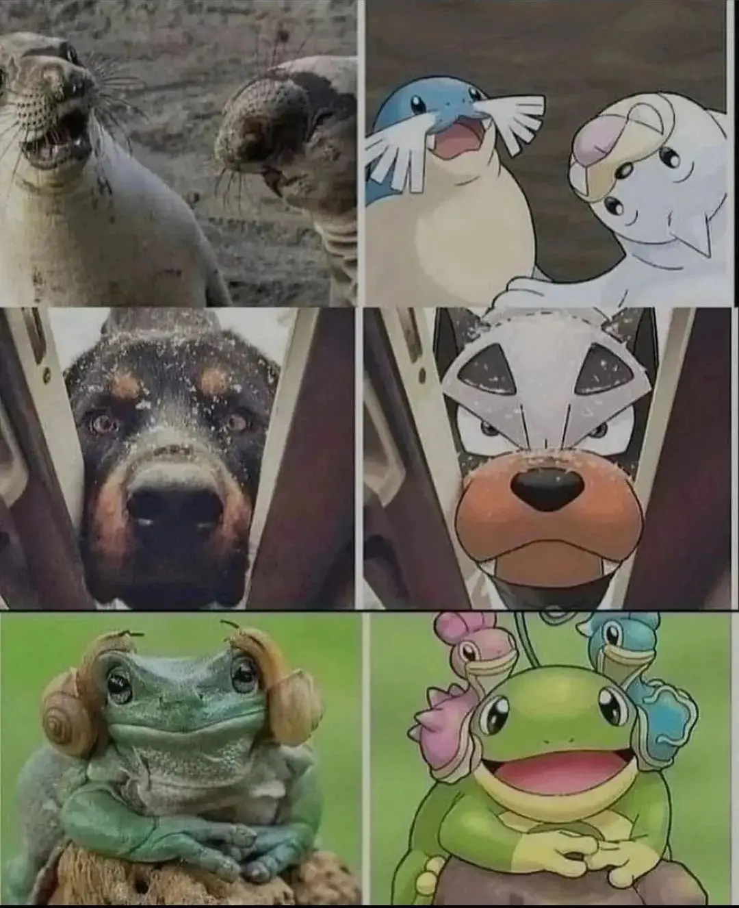 These are so adorable!🥰 Artist is danzulian🔥👀 #pokecenter #pokemonfanart #pokemoninreallife #pokemon #animals #pokemontiktok 