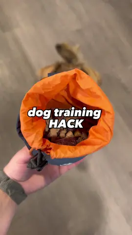 Because they like 👏🏽variety👏🏽 too! #DogTraining #SeeHerGreatness #dogtrainingtips #balancedtraining 