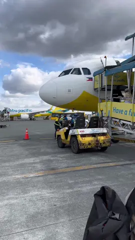 Pag Cold Heart ang music matic CebuPac 👌🏻MNL 🛫 CGY #aviationedits #planes #aircraft #everythingplanes #airplanevideos #airplanestory #planevlog #fyp #aircraft 