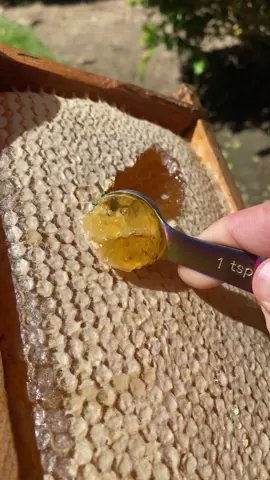 Oddly satisfying honey scoop 😍 #ooze 