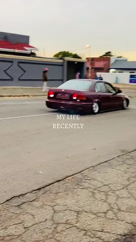 DANKIE BABA 🙌🤍🏆🌟#trend #fypシ゚viral #foryourpage #stancenation #lifeofstance #meadowlandsstancesociety #welovestance #CapCut #trending 