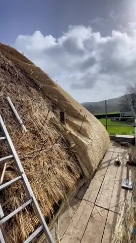 Progress shots of the new straw roof 😌 #thethatchingguy #thatch #relax #satisfying #fyp #foryou