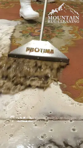 From Gray Sludge to Peach Perfection: Rug Cleaning Adventure Part 1. ASMR Carpet Cleaning. #asmr #carpetcleaning #satisfying #restorationprojects
