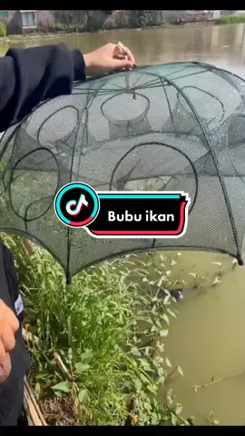 Jaring ikan bubu payung #fypシ #bubu #bubupayung #bubuikan #jaringikan #barangkekinian 