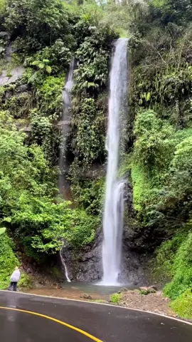 Curug di Tepi Jalan Cianjur Curug ini berlokasi di Jl. Ciwidey – Cidaun, Naringgul, Kabupaten Cianjur, Jawa Barat.  Tak sulit untuk mengakses lokasi ini. Wisatawan bisa menyusuri jalur besar dari Ciwidey ke arah Jayanti atau Cidaun.  Pengendara atau wisatawan biasanya akan berhenti sejenak di kawasan ini sembari menikmati sejuknya air terjun. Di musim kemarau air terjun ini airnya akan mengecil dan pas musim hujan akan membesar. 🎥 IG rosmirelind Ingin memberikan informasi seputar Jawa Barat ?  #infojabarnews #infojawabarat #infojabar #jawabarat #garut #tasikmalaya #banjar #pangandaran #ciamis #cirebon #indramayu #kuningan #majalengka #bogor #bandung #depok #bekasi #cianjur #sukabumi #garut #purwakarta #karawang #cimahi #sumedang #wisata #kuliner #destinasi